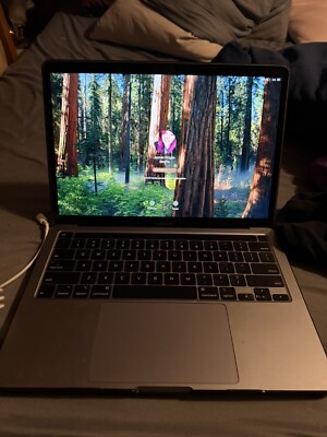 MacBook Pro 13'' (512GB SSD, Intel Core i5 10th Gen., 2.0GHz, 16GB) Laptop -...