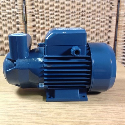 Flügelradpumpe selbstansaugend 230/400V 50L/min. 0,9 Kw Saug-/Förderhöhe 9/54 m