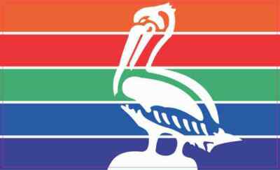 5in x 3in St. Petersburg Florida Flag Magnet Car Truck Vehicle Magnetic Sign