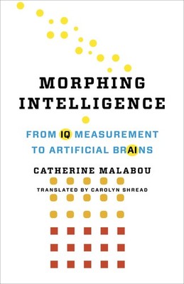 Morphing Intelligence: From IQ Measurement to Artificial Brains (The Wellek ...