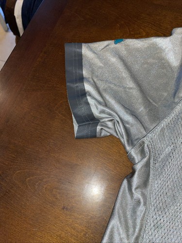 Miami Dolphins Ricky Williams Gray Jersey - Picture 14 of 20