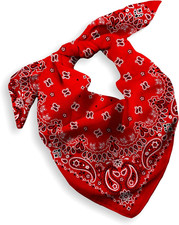 Gift Packaging Bandana for Men Women - 100 Cotton, Paisley, 22x22 In, 1 Pack -
