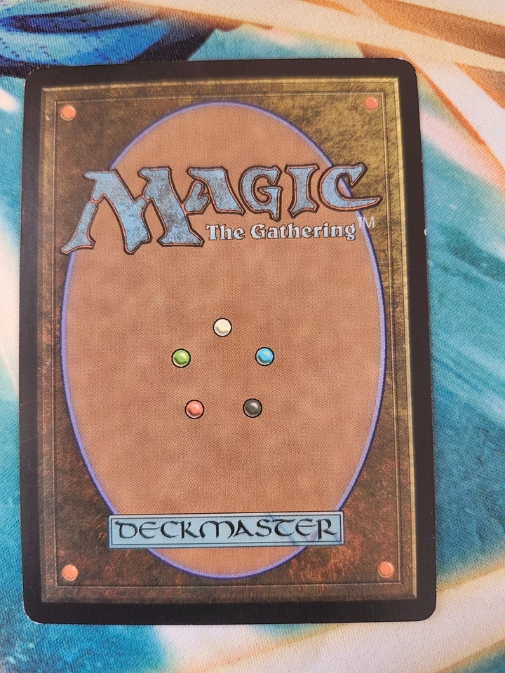 MTG Gilt-Leaf Archdruid - Morningtide NM Spanish - Image 2 of 2