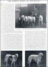 THE BORZOI DOG SHOW AT SOUTHPORT. SEVERAL PICTURES AND ACCOMPANYING TEXT, REMOVE