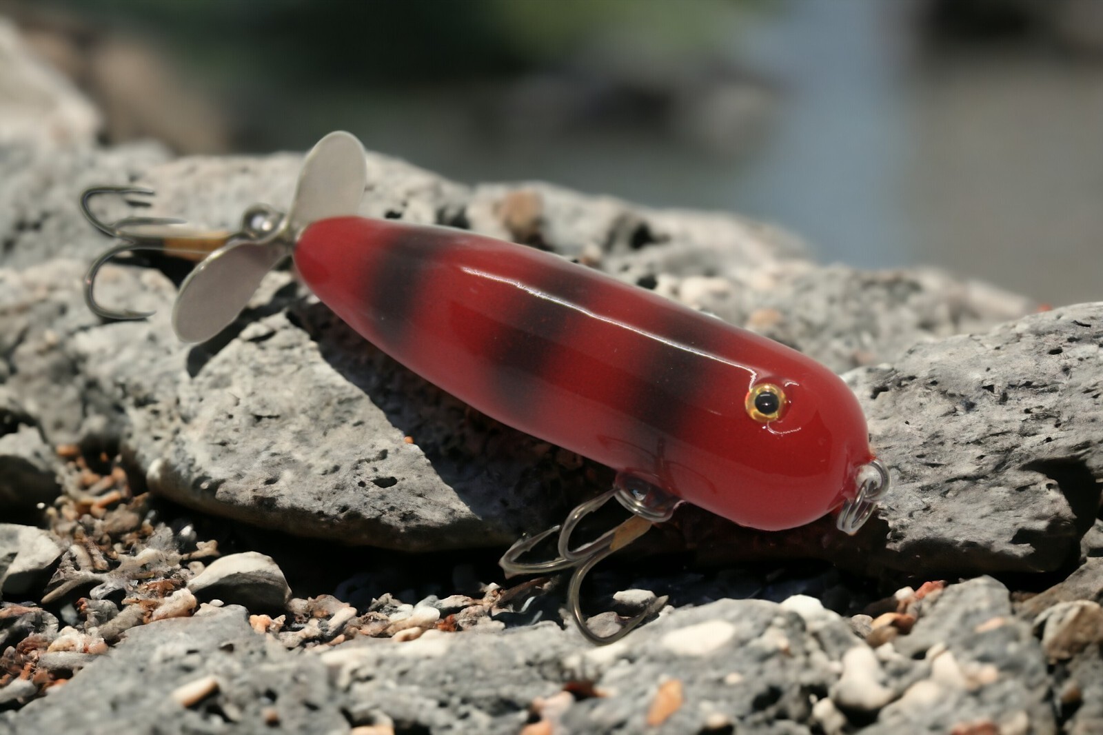 Red Tiger