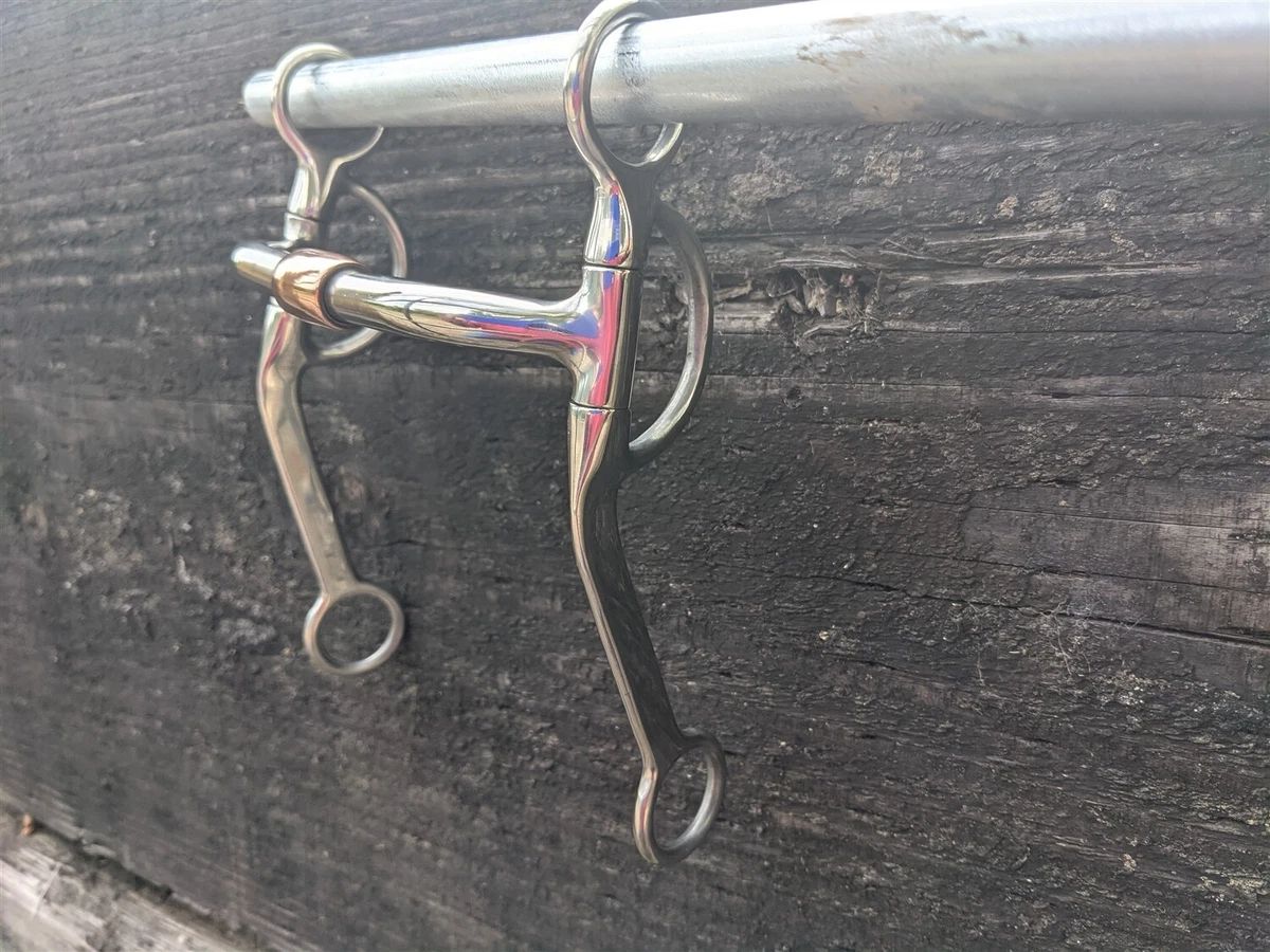Mors Hackamore Western Kelly Silver Star - Acier Inoxydable Avec Nez De Corde - Neuf