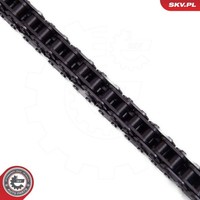 Esen SKV Steuerkettensatz Passend FüR BMW 1 2 3 4 5 X1 X3 X4 X5 Z4 | 21SKV256