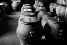 Italy Tuscany Castelnuovo Berardenga Oleificio Chigi Saracini 1920-30 OLD PHOTO