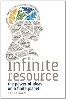 The Infinite Resource: The Power of Ideas on a Finite Pl... | Buch | Zustand gut