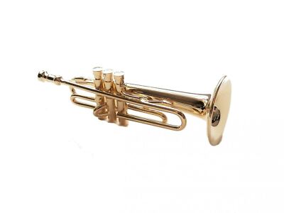 Set di strumenti musicali in miniatura per casa delle bambole