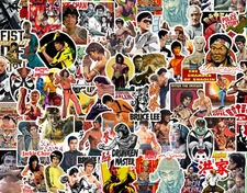 25/50 Kung-Fu Sticker Pack-Waterproof Vinyl-Bruce Lee Martial Arts Shaolin Japan
