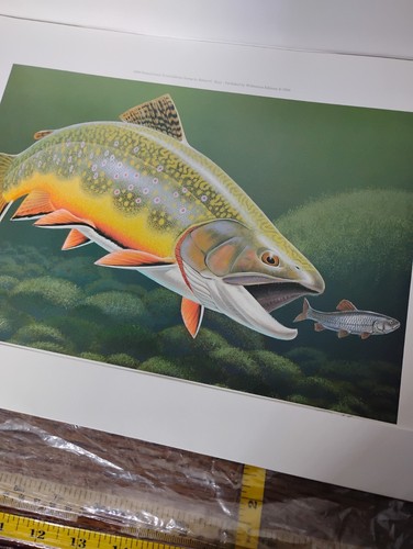 1994 Framed PA Pennsylvania Trout Stamp & Print Fishing License Stamp Signed