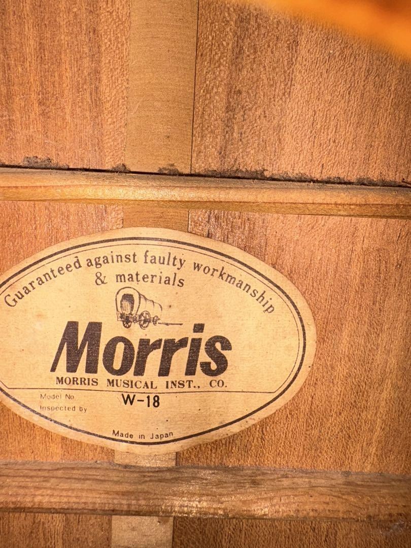 Acoustic Guitar Morris W-18 Natural Made in Japan | eBay