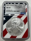 2001 $1 American Eagle NGC MS69 1 oz .999 Fine Silver US Bullion Coin
