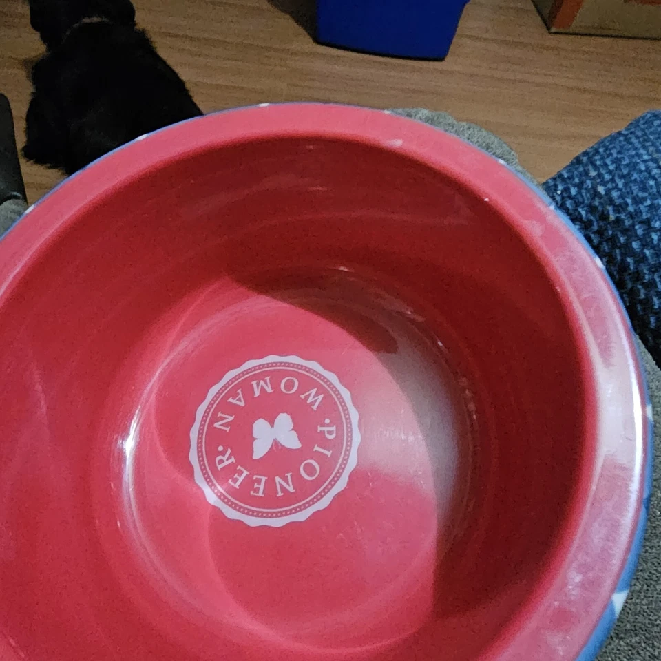 Pioneer Woman Matching "Dig In" Feeding Mat Charming Check Med Melamine Pet Bowl - Image 3 of 4