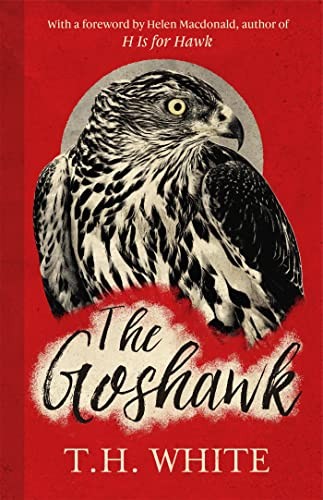 The Goshawk: With a new foreword by Helen Macdonald by T. H. White... - Image 6