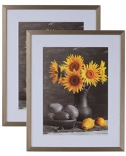 Picture Frame 2 Set Light Bronze & White 11x14 12x18 16x20 24x36 30x40 36x36