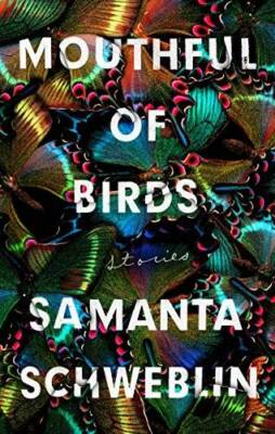 Mouthful of Birds: Stories - Hardcover By Schweblin, Samanta - GOOD