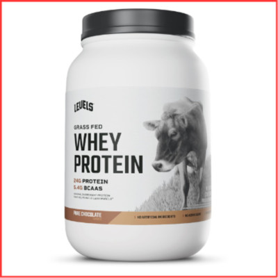 WHEY PROTEIN POWDER Grass Fed Pure Chocolate 2lb LEVELS NUTRITION