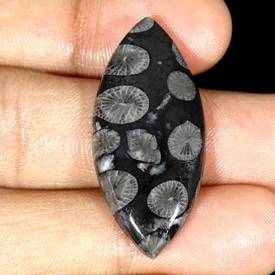 23.00Cts Naturschwarz Versteinerte Koralle Marquise Cab Lose Edelstein 17x37x5mm