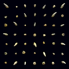 Clipping - Visions Of Bodies Being Burned [New Vinyl LP]