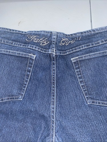 Vintage Fubu Fatty Girl Jeans