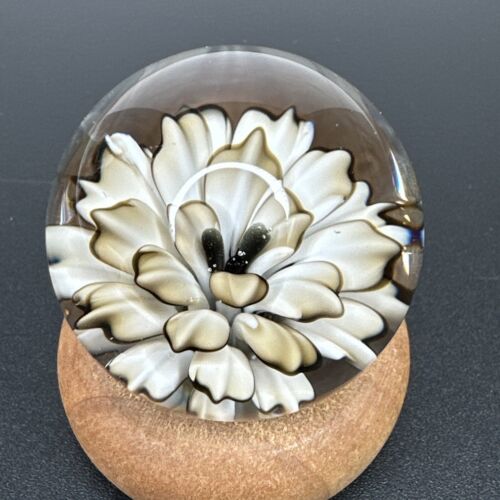 Contemporary Art Glass Marble 1.25" Handmade Flower Implosion Floral Boro MIB - Afbeelding 1 van 10
