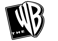 The WB TV Logo Retro 90s 2000s Custom Vinyl Die Cut Sticker 3.5x2.5