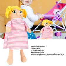 Girls Early Learning Organ Toys Body Organ Stuffed Toy Human Body Anatomy Awaren