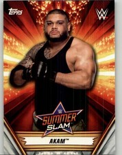 2019 Topps WWE SummerSlam Akam #1