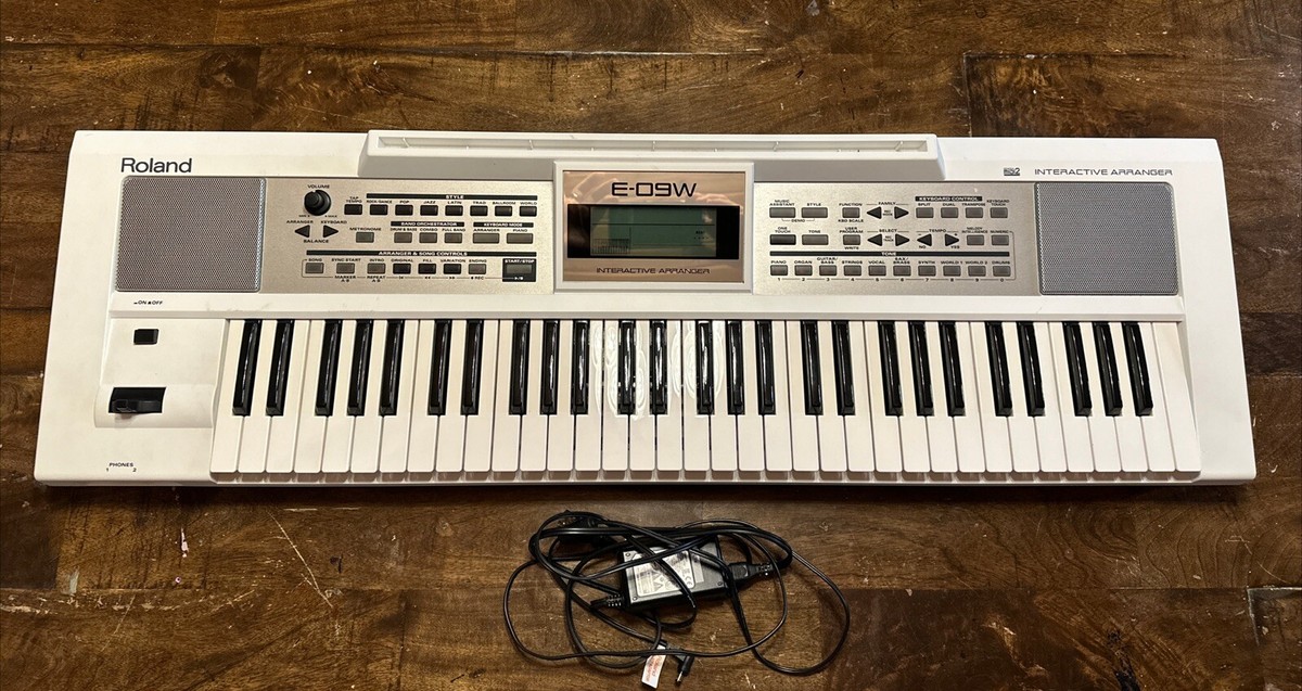 Roland E-09W Interactive Arranger Keyboard | eBay Roland E-09W Interactive Arranger Keyboard | eBay