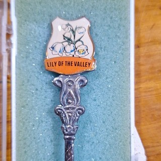 Vintage Australian Enamel Souvenir Spoon Lily of the Valley Flower Cased EPNS