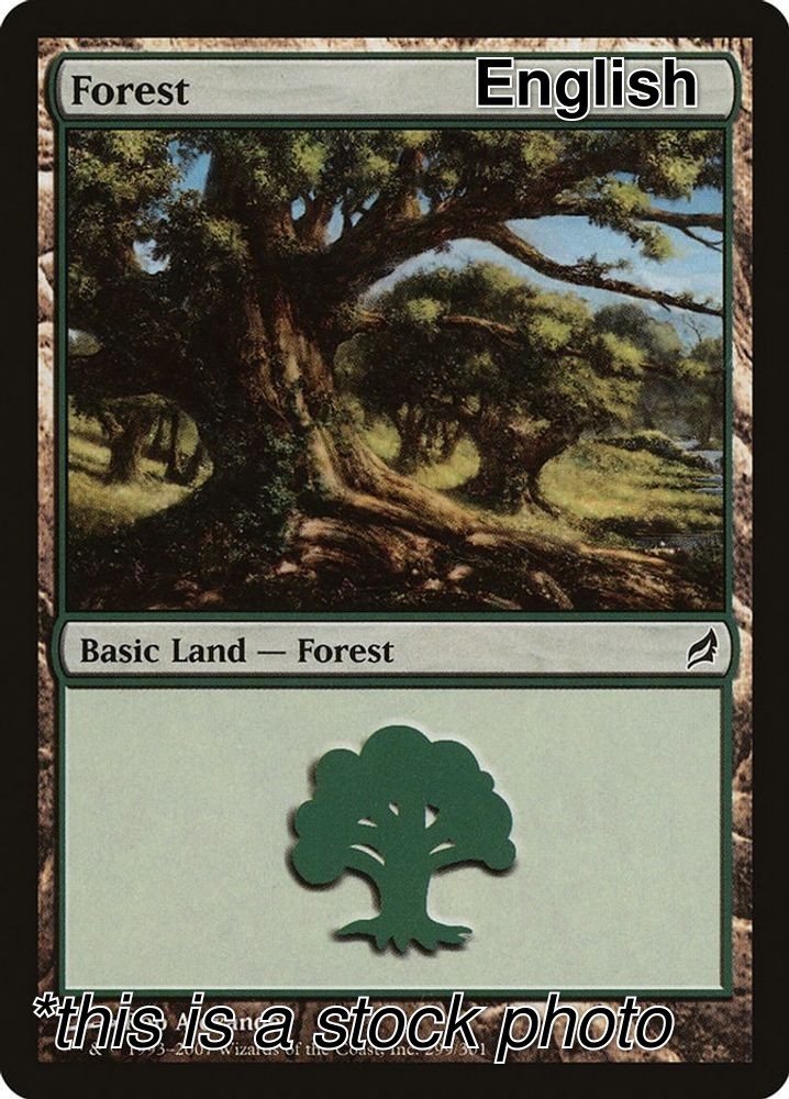 Forest [Normal LP - Lorwyn 299]