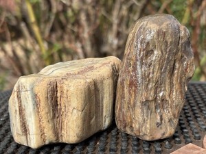 ☘️RR⛏️: 2 Detailed Unique PCS Arizona Petrified Wood, 15.6 Oz.
