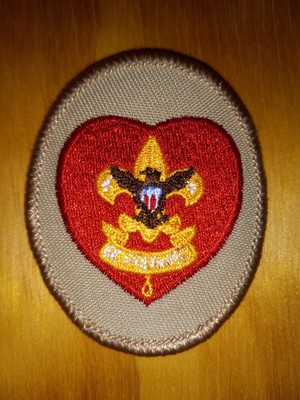 Life Rank Boy Scouts of America Patch - BSA Eagle Shield Fleur-de-Lis Red Heart
