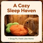 Carrot Shaped Pet Mat Small Animal Bed Rabbit Guinea Pig Hamster Bedding Premium