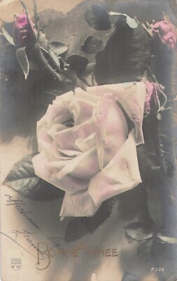 CP GOOD YEAR ROSA BLUME - 42447