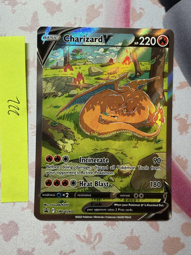 Charizard V