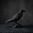 Gothic Raven on Skull Ornament Crow Statue Dark Home Decor Halloween Gift