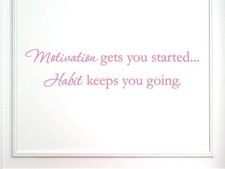 VINYLSAY1243.MotivationM.Light Pink44x10 Motivation Gets You Started Habit Keeps