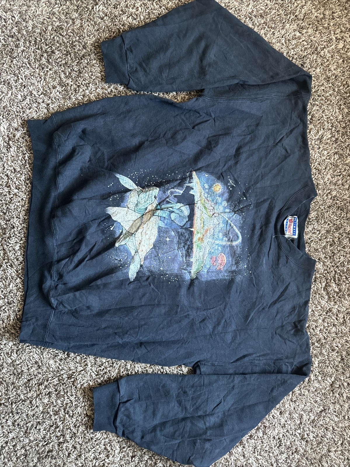 Vintage 90s Hanes  Sweatshirt Cosmic Sea Turtle Earth Fantasy Size L(42-44)
