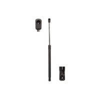 2X Gasfeder Kofferraum Hinten FüR VW Golf 1K 3.2 03 Bis 09 Magnum AXW BMY