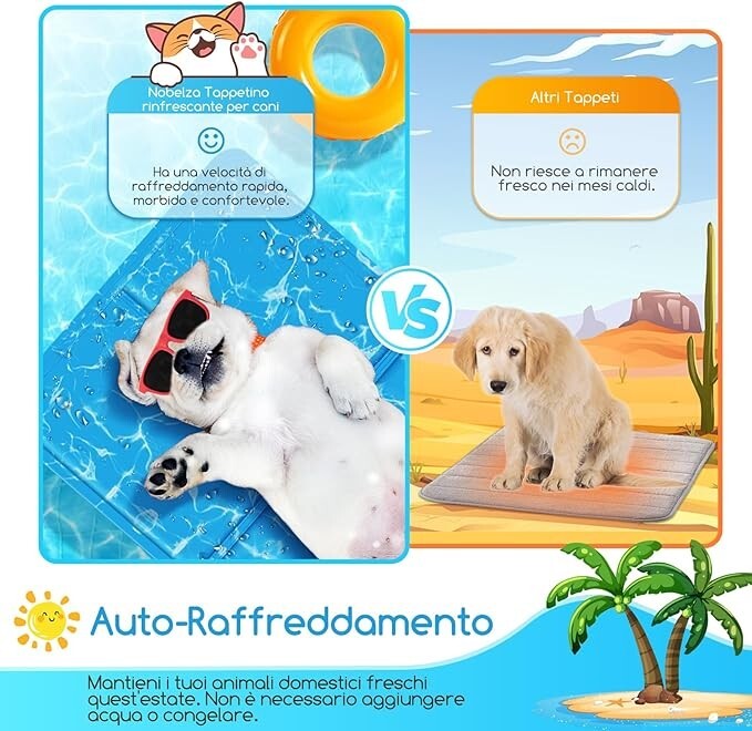 Imagen 2 de 6