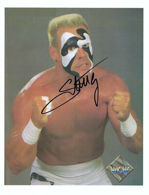 EB3176 WCW The Icon Sting signed wrestling photo w/COA | eBay