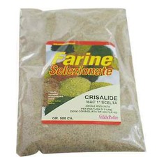 crisalide macinata farina additivo ingrediente pastura carpa alborella cavedano