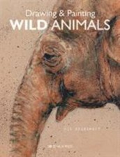 Drawing Painting Wild Animals
