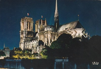 Vintage Notre-Dame Paris Illuminated Chrome Postcard Edit. Chantal IRIS