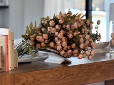 Set of 8 Stems - Viral Ashland Michael's Set of 8 Tan Peony Stems