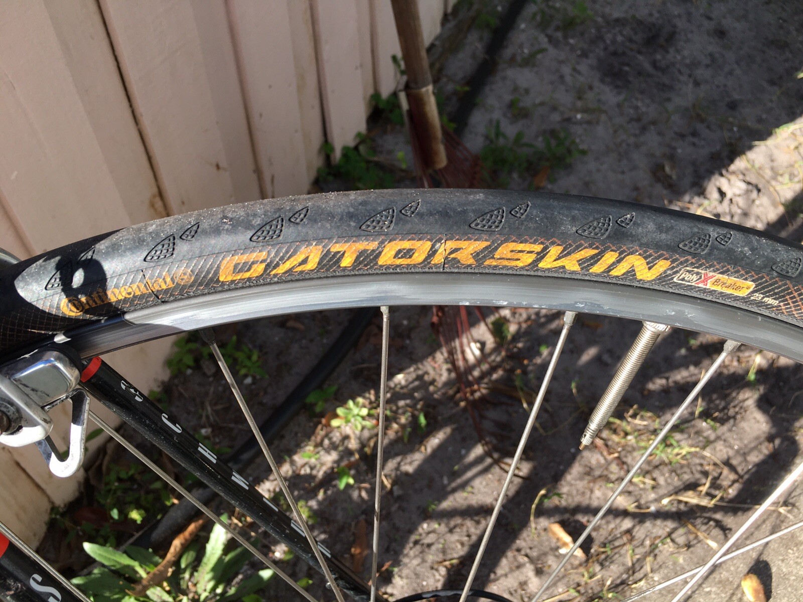 bicycle tailgate cover