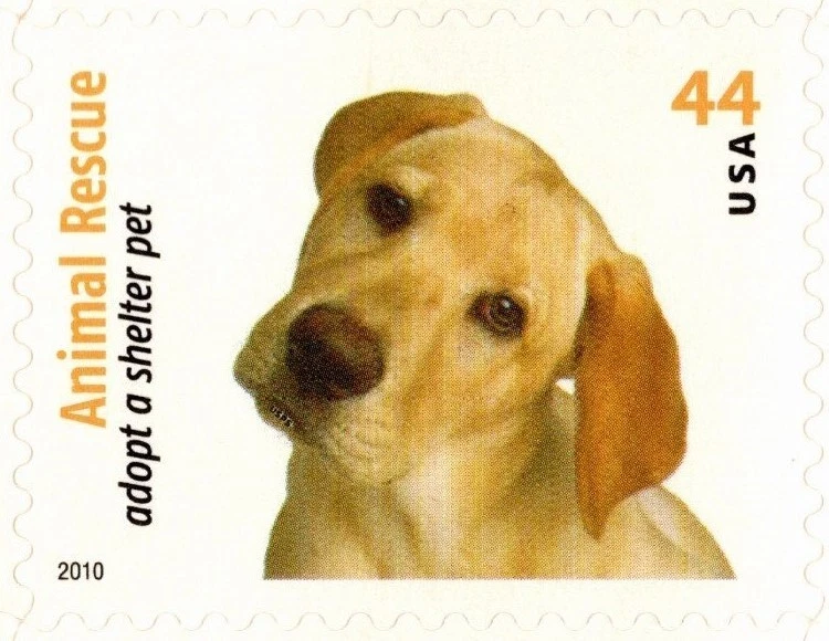 USA 2010 ADOPT A SHELTER PET 20 STAMPS 44 CENT 10 DESIGN SCOTT 4451-4460 MNH - Image 4 of 4